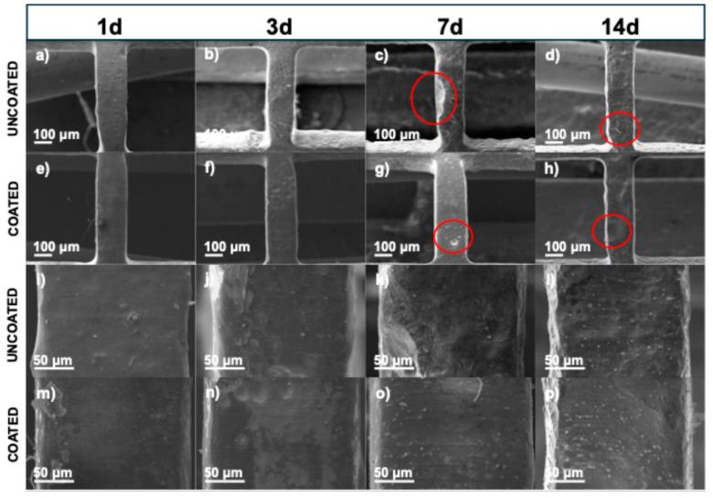 https://cdn.ncbi.nlm.nih.gov/pmc/blobs/2fe9/12157572/dfc22fd63c95/polymers-17-01510-g009.jpg