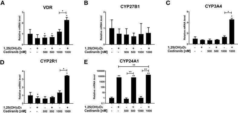 https://cdn.ncbi.nlm.nih.gov/pmc/blobs/2fea/8740239/9b91ad59196b/fonc-11-763895-g009.jpg