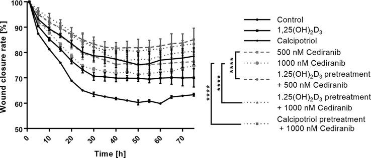 https://cdn.ncbi.nlm.nih.gov/pmc/blobs/2fea/8740239/c0cb761317f9/fonc-11-763895-g003.jpg
