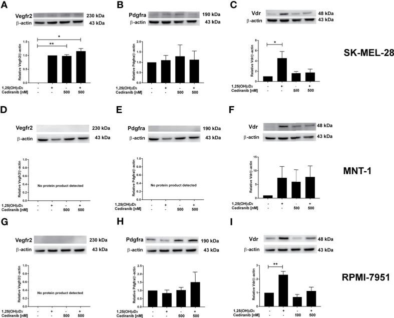 https://cdn.ncbi.nlm.nih.gov/pmc/blobs/2fea/8740239/cef8a95501a8/fonc-11-763895-g006.jpg
