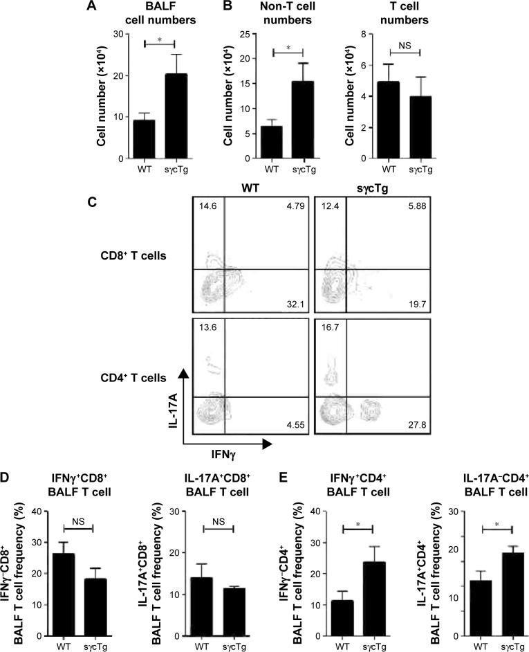 https://cdn.ncbi.nlm.nih.gov/pmc/blobs/2feb/5352154/a4af04935c89/copd-12-817Fig4.jpg