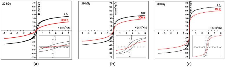 https://cdn.ncbi.nlm.nih.gov/pmc/blobs/2fed/11206415/1497a8ba5a4d/nanomaterials-14-01015-g011.jpg