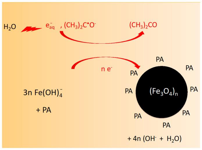 https://cdn.ncbi.nlm.nih.gov/pmc/blobs/2fed/11206415/4bf69a3fa82f/nanomaterials-14-01015-g003.jpg