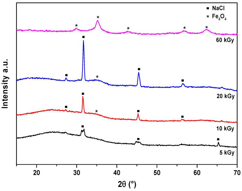 https://cdn.ncbi.nlm.nih.gov/pmc/blobs/2fed/11206415/7b332a92ec28/nanomaterials-14-01015-g005.jpg