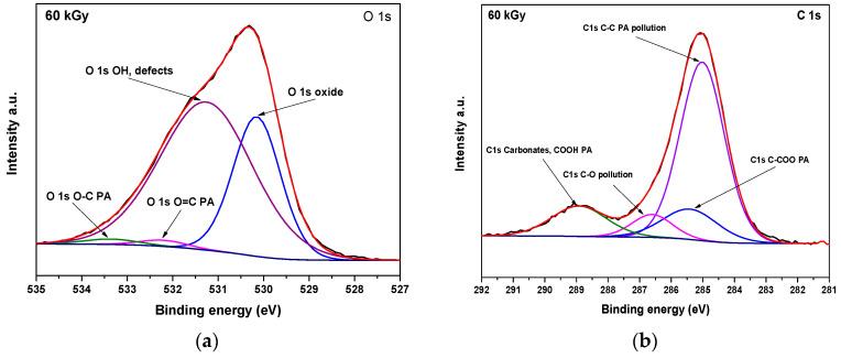https://cdn.ncbi.nlm.nih.gov/pmc/blobs/2fed/11206415/9490f2bd366e/nanomaterials-14-01015-g008.jpg
