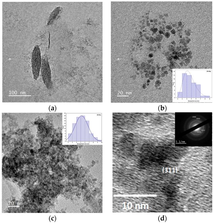 https://cdn.ncbi.nlm.nih.gov/pmc/blobs/2fed/11206415/ad6f8479eb4a/nanomaterials-14-01015-g009.jpg