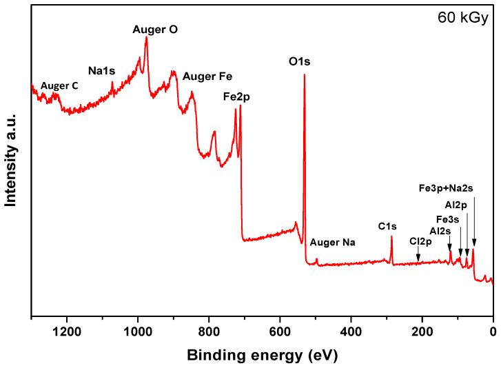 https://cdn.ncbi.nlm.nih.gov/pmc/blobs/2fed/11206415/dd5b1c00ec33/nanomaterials-14-01015-g006.jpg
