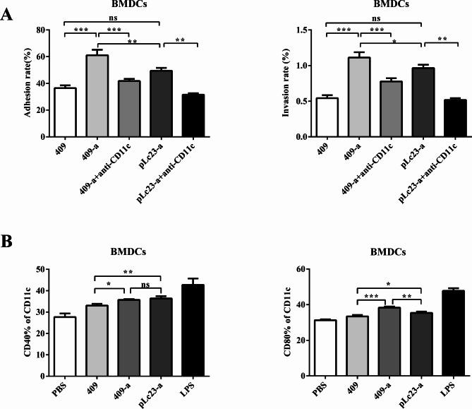 https://cdn.ncbi.nlm.nih.gov/pmc/blobs/2fed/11380324/4789e8f85832/12917_2024_4248_Fig3_HTML.jpg