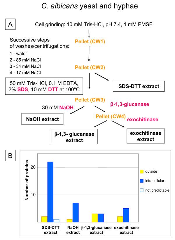 https://cdn.ncbi.nlm.nih.gov/pmc/blobs/2ff3/1524762/5cabcc0ea149/1746-4811-2-10-3.jpg