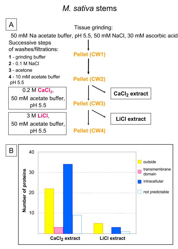 https://cdn.ncbi.nlm.nih.gov/pmc/blobs/2ff3/1524762/fef7787037e3/1746-4811-2-10-2.jpg