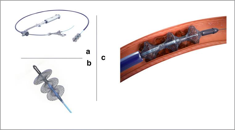 https://cdn.ncbi.nlm.nih.gov/pmc/blobs/2ff7/7538277/66c421f2c2b5/12170_2020_659_Fig2_HTML.jpg