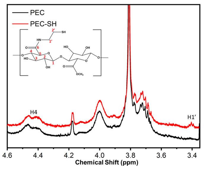 https://cdn.ncbi.nlm.nih.gov/pmc/blobs/2ffa/10675277/2b539e1cff25/pharmaceutics-15-02571-g003.jpg