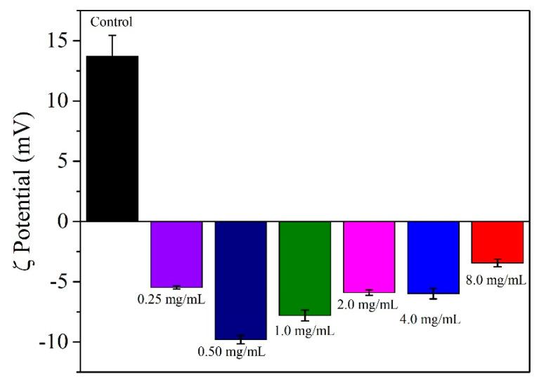 https://cdn.ncbi.nlm.nih.gov/pmc/blobs/2ffa/10675277/7934dbca621a/pharmaceutics-15-02571-g005.jpg