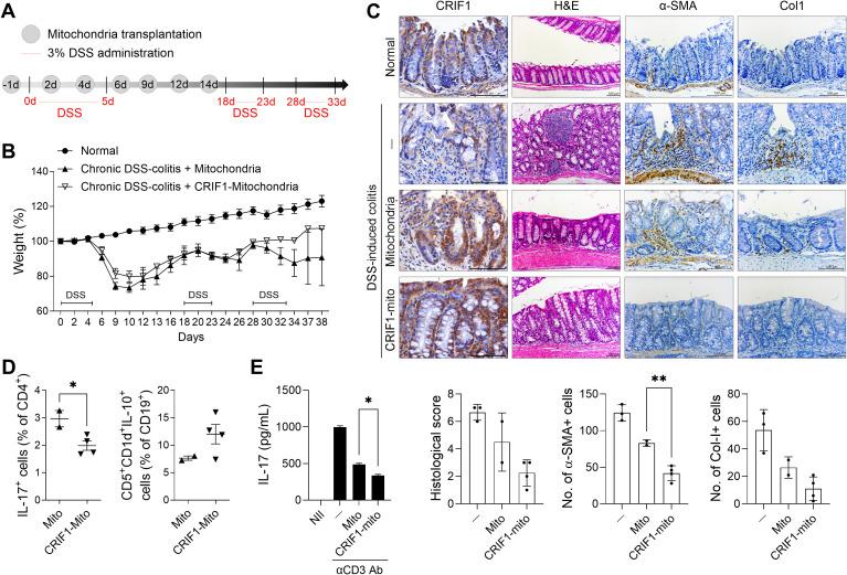 https://cdn.ncbi.nlm.nih.gov/pmc/blobs/2ffa/12350146/046fe15030e5/fimmu-16-1618012-g006.jpg