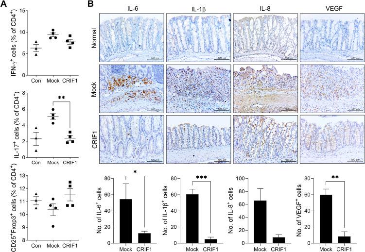 https://cdn.ncbi.nlm.nih.gov/pmc/blobs/2ffa/12350146/2bdc52e77f5d/fimmu-16-1618012-g002.jpg
