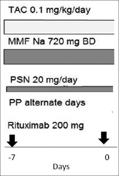 https://cdn.ncbi.nlm.nih.gov/pmc/blobs/2ffb/5434685/5f1e5ddabecd/IJN-27-195-g001.jpg