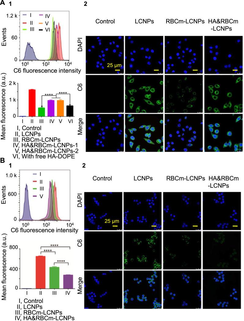 https://cdn.ncbi.nlm.nih.gov/pmc/blobs/2ffc/8364713/0c58df08dd56/12951_2021_977_Fig4_HTML.jpg
