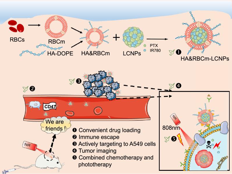 https://cdn.ncbi.nlm.nih.gov/pmc/blobs/2ffc/8364713/4849c16595ab/12951_2021_977_Fig1_HTML.jpg