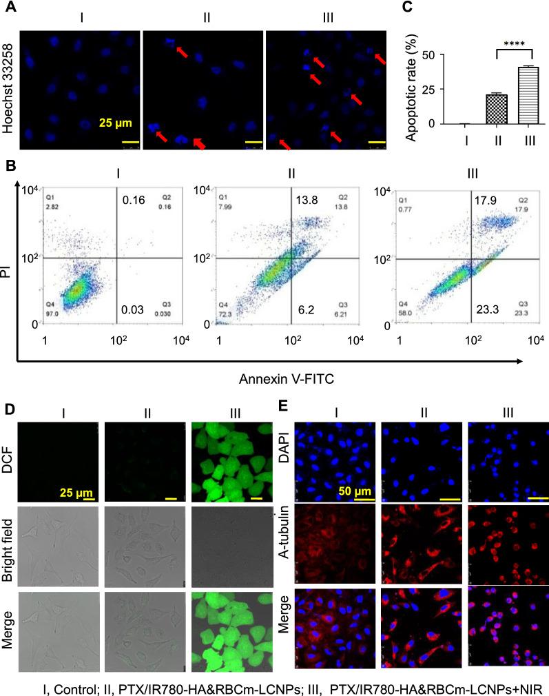 https://cdn.ncbi.nlm.nih.gov/pmc/blobs/2ffc/8364713/4cd77f9853bb/12951_2021_977_Fig5_HTML.jpg