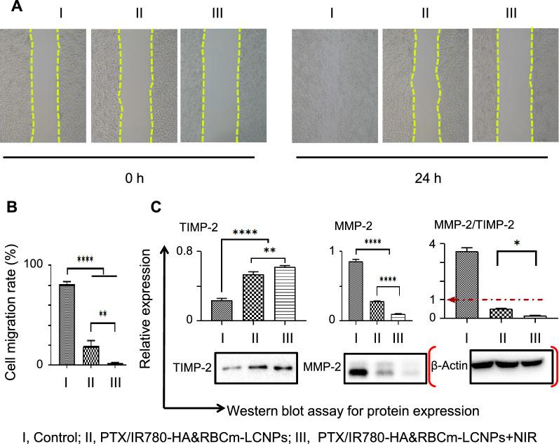 https://cdn.ncbi.nlm.nih.gov/pmc/blobs/2ffc/8364713/6bcbd222e62c/12951_2021_977_Fig7_HTML.jpg