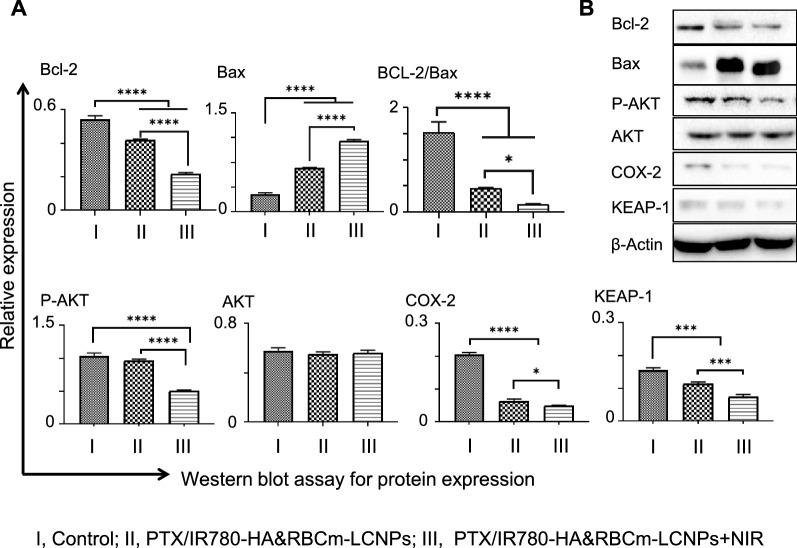 https://cdn.ncbi.nlm.nih.gov/pmc/blobs/2ffc/8364713/cc97bc0f5cd1/12951_2021_977_Fig6_HTML.jpg