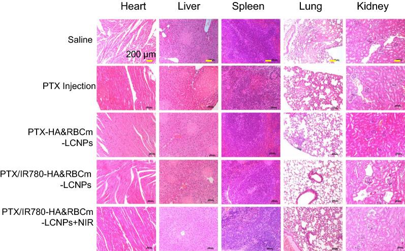 https://cdn.ncbi.nlm.nih.gov/pmc/blobs/2ffc/8364713/ddf9307465a0/12951_2021_977_Fig11_HTML.jpg