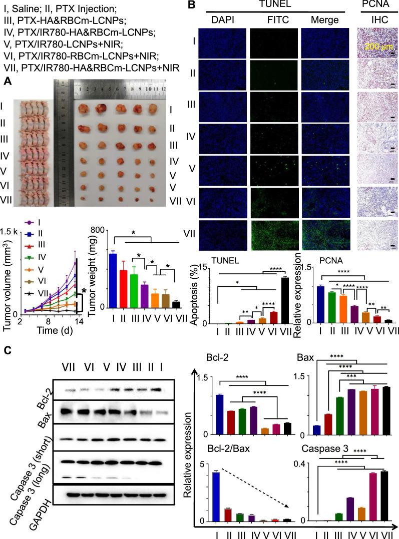 https://cdn.ncbi.nlm.nih.gov/pmc/blobs/2ffc/8364713/e3d8573e5521/12951_2021_977_Fig10_HTML.jpg