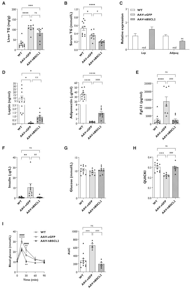 https://cdn.ncbi.nlm.nih.gov/pmc/blobs/2ffc/9589143/e6a66c2f11f6/gr4.jpg