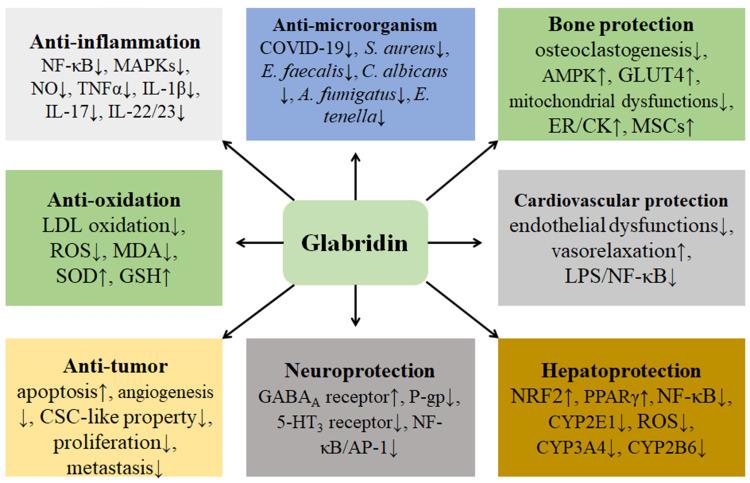 https://cdn.ncbi.nlm.nih.gov/pmc/blobs/2ffc/9840373/07243f5c949b/DDDT-17-15-g0006.jpg