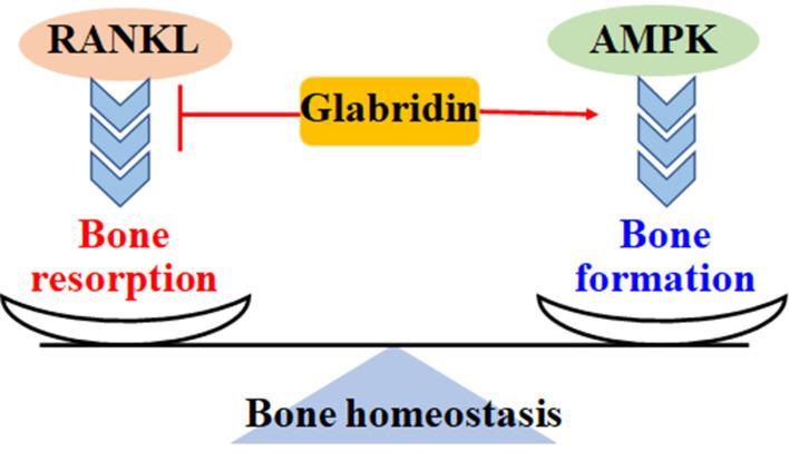 https://cdn.ncbi.nlm.nih.gov/pmc/blobs/2ffc/9840373/2a6f4cbec345/DDDT-17-15-g0005.jpg