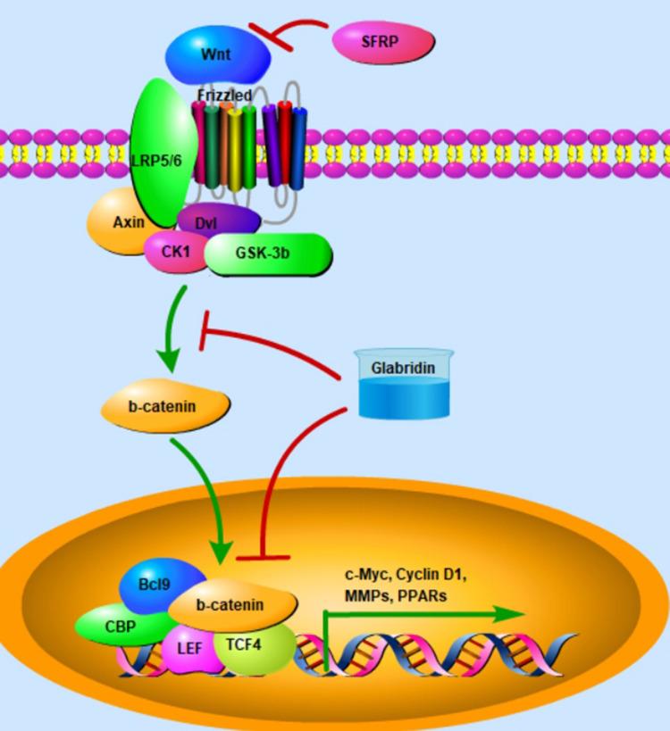 https://cdn.ncbi.nlm.nih.gov/pmc/blobs/2ffc/9840373/58acebfd8925/DDDT-17-15-g0004.jpg