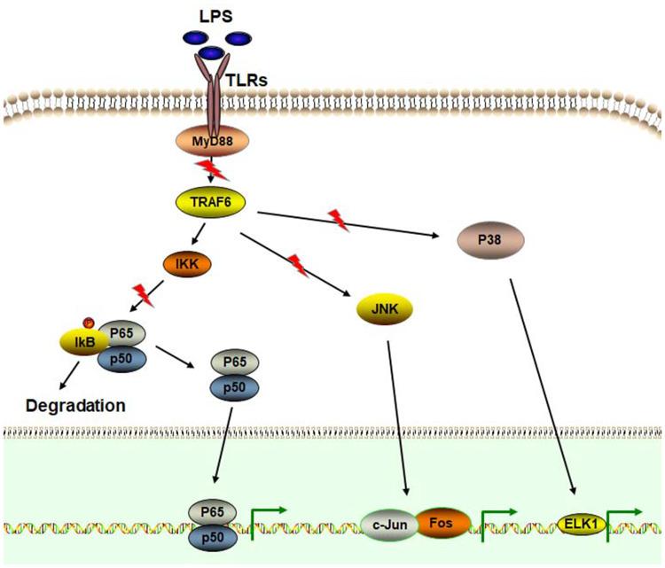 https://cdn.ncbi.nlm.nih.gov/pmc/blobs/2ffc/9840373/8b5a534a9b10/DDDT-17-15-g0003.jpg