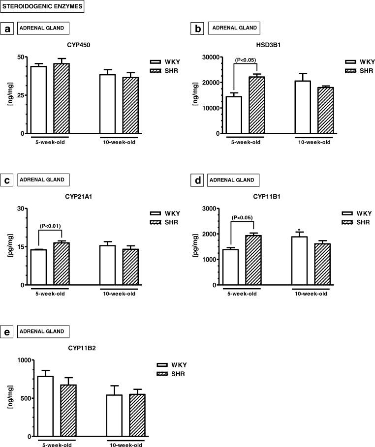 https://cdn.ncbi.nlm.nih.gov/pmc/blobs/3000/6820808/29b3aeb60a4b/213_2019_5180_Fig7_HTML.jpg