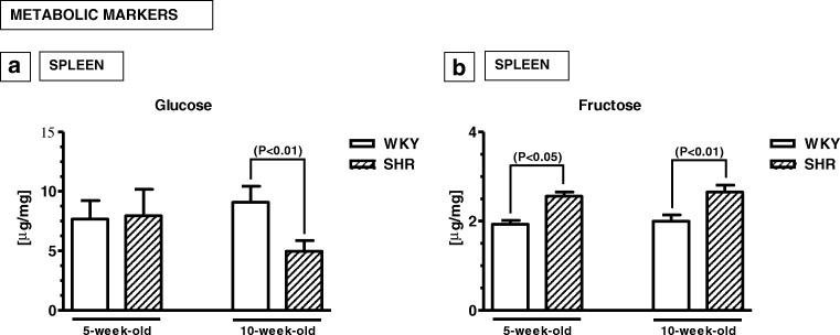 https://cdn.ncbi.nlm.nih.gov/pmc/blobs/3000/6820808/8bb5ce920b61/213_2019_5180_Fig5_HTML.jpg