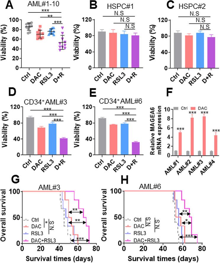 https://cdn.ncbi.nlm.nih.gov/pmc/blobs/3002/10877917/6af937bd2321/40164_2024_489_Fig8_HTML.jpg