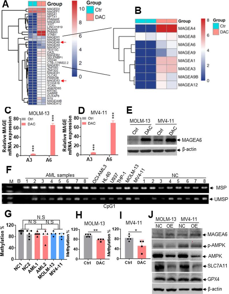https://cdn.ncbi.nlm.nih.gov/pmc/blobs/3002/10877917/8866c7e4d396/40164_2024_489_Fig6_HTML.jpg