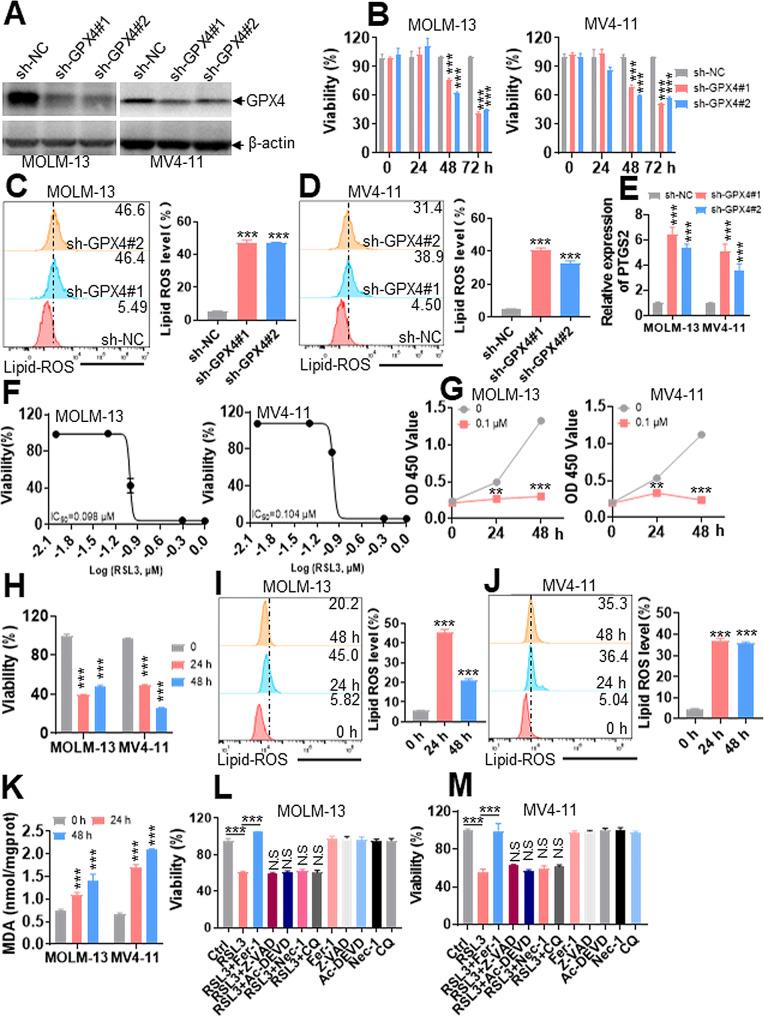 https://cdn.ncbi.nlm.nih.gov/pmc/blobs/3002/10877917/a0c55f6c23b7/40164_2024_489_Fig2_HTML.jpg
