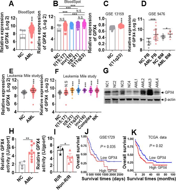 https://cdn.ncbi.nlm.nih.gov/pmc/blobs/3002/10877917/bbb5bb9f080d/40164_2024_489_Fig1_HTML.jpg