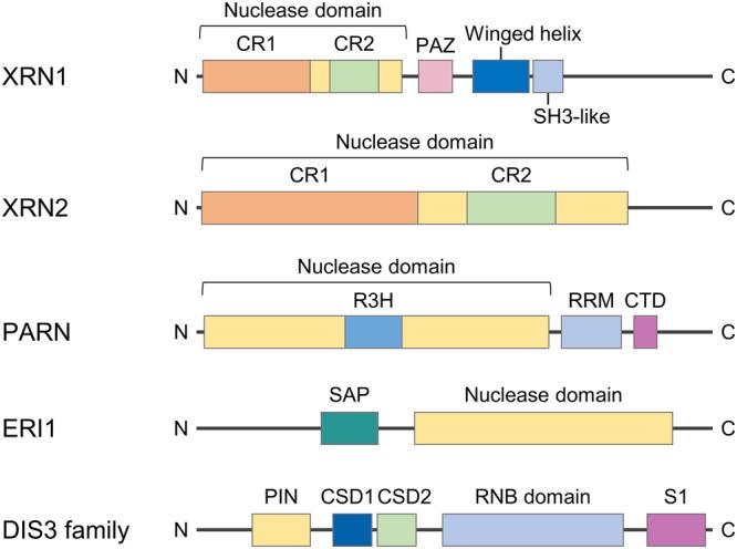 https://cdn.ncbi.nlm.nih.gov/pmc/blobs/3003/11148060/4e7286d4572e/12276_2024_1224_Fig5_HTML.jpg