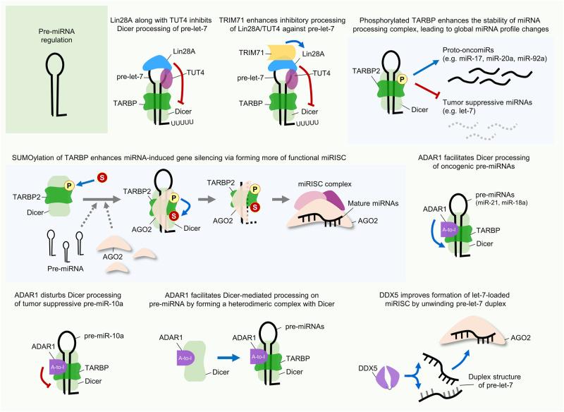 https://cdn.ncbi.nlm.nih.gov/pmc/blobs/3003/11148060/72b35cac791c/12276_2024_1224_Fig3_HTML.jpg