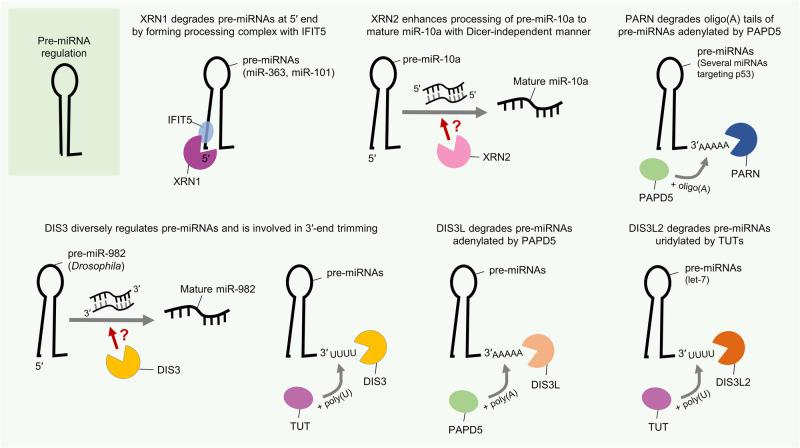 https://cdn.ncbi.nlm.nih.gov/pmc/blobs/3003/11148060/cc93cefdebce/12276_2024_1224_Fig6_HTML.jpg