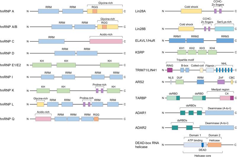 https://cdn.ncbi.nlm.nih.gov/pmc/blobs/3003/11148060/d73adb6f8725/12276_2024_1224_Fig1_HTML.jpg