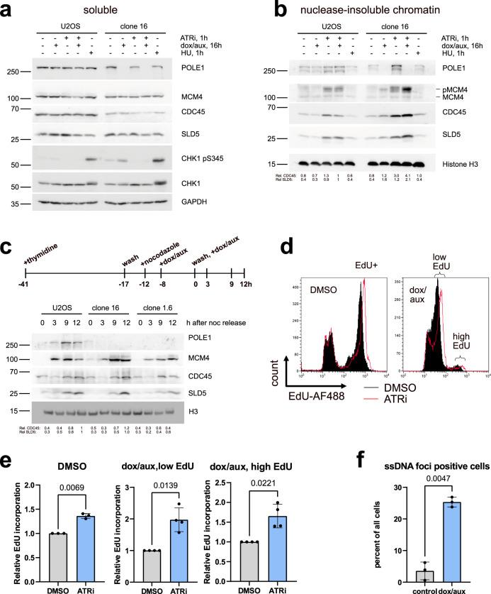 https://cdn.ncbi.nlm.nih.gov/pmc/blobs/3005/9675812/1e61859ee8c5/41467_2022_34911_Fig2_HTML.jpg