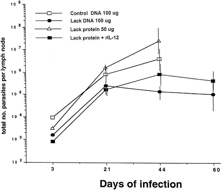 https://cdn.ncbi.nlm.nih.gov/pmc/blobs/3006/2199076/bdd6fbfbe4c6/JEM.971096f2.jpg