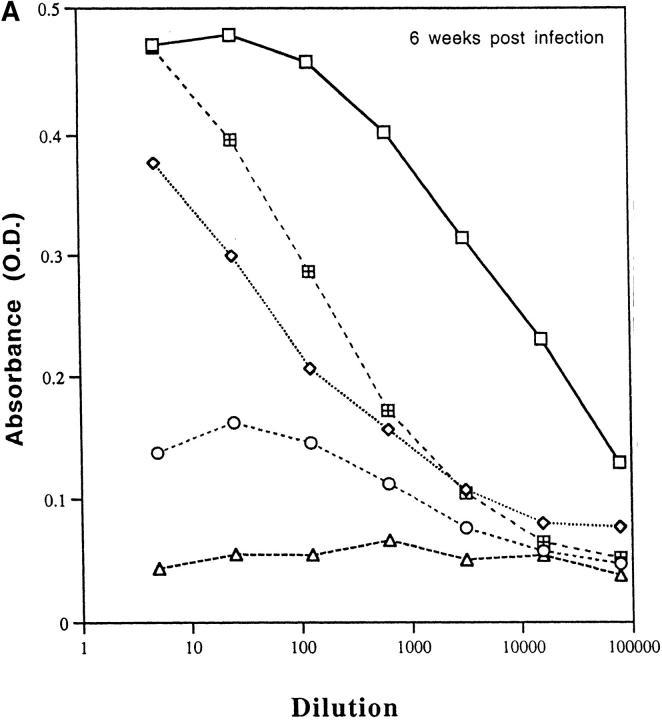 https://cdn.ncbi.nlm.nih.gov/pmc/blobs/3006/2199076/c6ba37242241/JEM.971096f6a.jpg