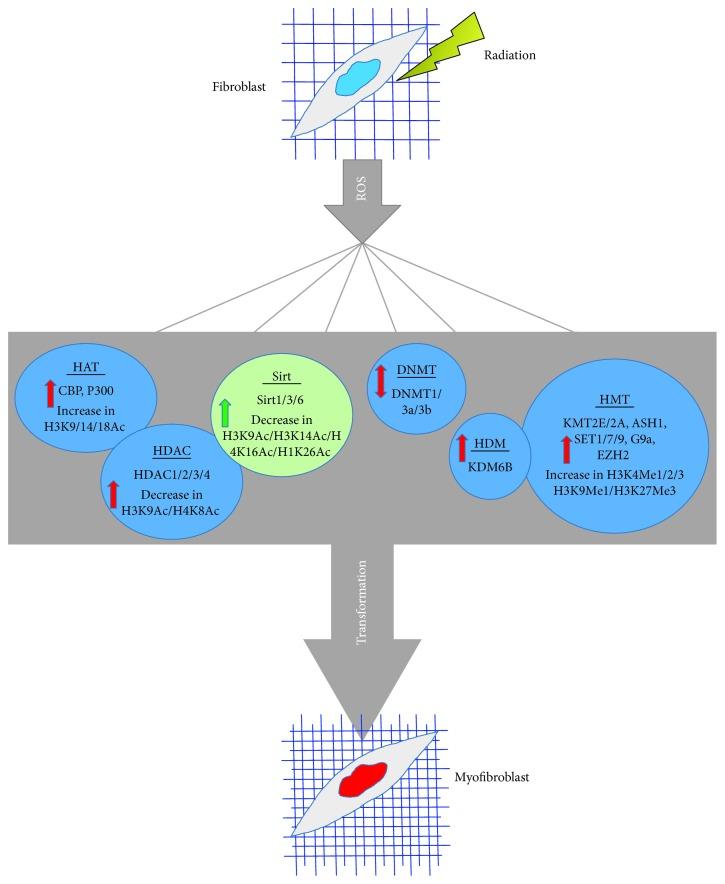 https://cdn.ncbi.nlm.nih.gov/pmc/blobs/3006/6381575/2d48d8d6567b/OMCL2019-4278658.002.jpg