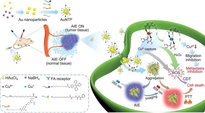 https://cdn.ncbi.nlm.nih.gov/pmc/blobs/3008/11065357/6438f27b5bc1/nwae113fig1.jpg