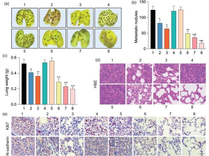 https://cdn.ncbi.nlm.nih.gov/pmc/blobs/3008/11065357/a2c49de670bb/nwae113fig6.jpg