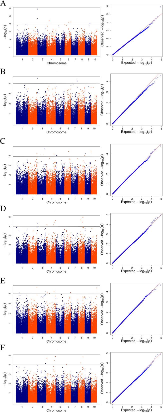 https://cdn.ncbi.nlm.nih.gov/pmc/blobs/300a/9623923/9dfed1d655e9/12863_2022_1091_Fig3_HTML.jpg