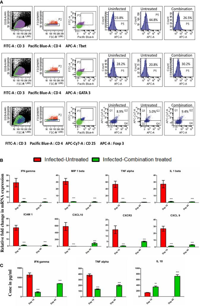 https://cdn.ncbi.nlm.nih.gov/pmc/blobs/300d/8793777/4a5a2d5e2d5a/fimmu-12-819469-g005.jpg